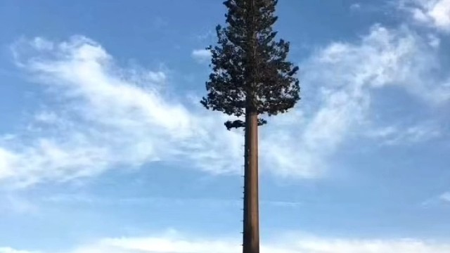 捷力通-仿生树避雷塔