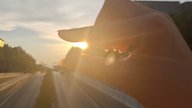 拿捏夏天的小尾巴
