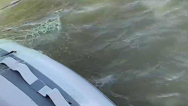 #户外捕鱼大队 #捕鱼河边随拍 #捕捞现场  #丝网捕鱼