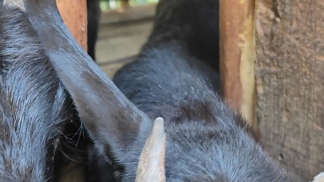 刚来这里请官大大多多照顾