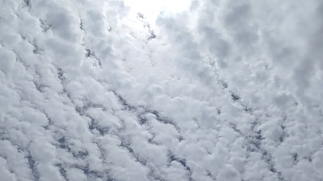 我发布了一个新视频，快来围观吧！