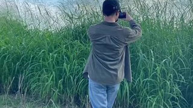 看到花花美景试试#手机摄影 #拍摄技巧 #万物皆可盘 #治愈系  #治愈系风景