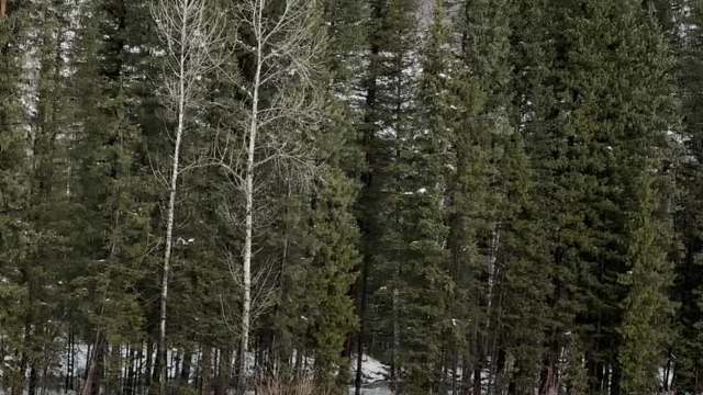 Ya ya ya #浅跳一下 #Jennie #wayup