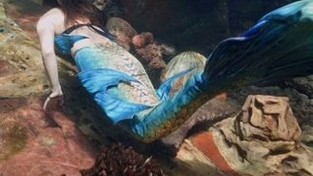 整点不常见的 #水下摄影henry #henry水下摄影