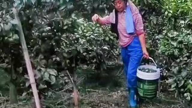 山卡卡里的农村大姐学费了开直播每天收获满满您还在恐播怕播不敢开播开播了不知说什么吗#记录真实生活 #