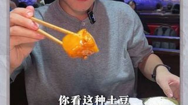 升级后的安阳梦幻海底世界，竟然这么精彩！ #安阳梦幻海底世界 #溜娃好去处 #安阳本地人的亚特兰蒂斯