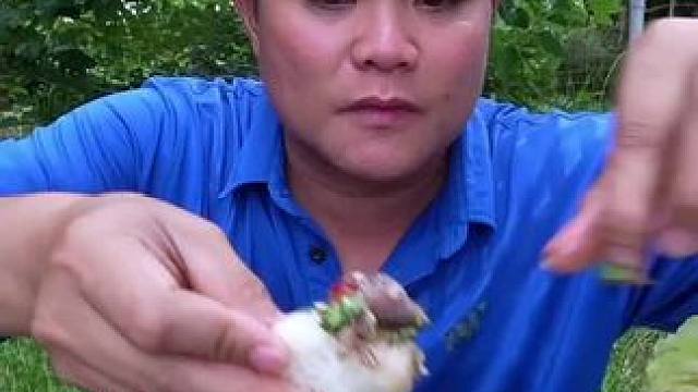 包菜芯泡椒️凉拌茄子香米饭团 #新农人计划 #泰国大叔#泰国美食#内容启发搜索 #种草激励计划