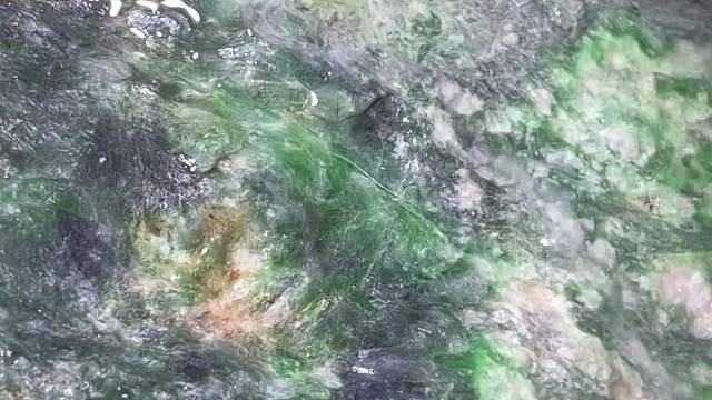 16公斤木纳开搞，大家猜猜涨还是垮