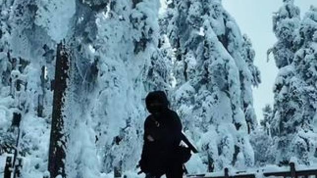 世间法理万千，难敌一句甘愿 每段路都有它的意义别频频回望 也别否定当时的坚持 那就希望你们所有的苦难