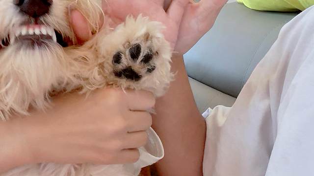 希望它也要健健康康的#小狗