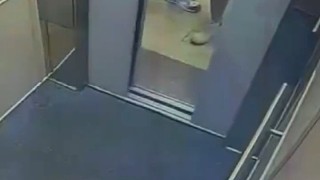 這種人其實是自卑，在武力上找存在感，但是遇到真事兒了又不敢上的那種。也就有兩個朋友在身邊才這樣，單獨