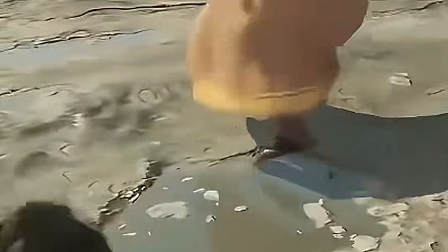 这才是完美闪避