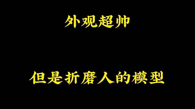 折磨人的模型