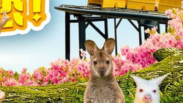 不出国门，在增城就能游遍澳洲！快来七彩澳游世界嗨翻假期！#周末去哪儿 #拍照打卡圣地#七彩澳游世界 