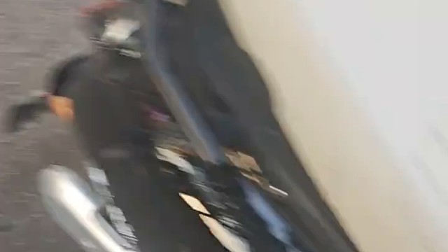 狗子：放在这我以为没人要