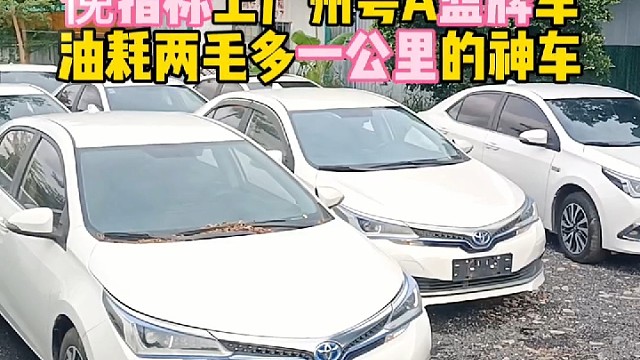 2019年丰田卡罗拉双擎俛指标上广州粤A蓝牌车油耗两毛多一公里的神车#广州二手车#广西二手车#丰田卡