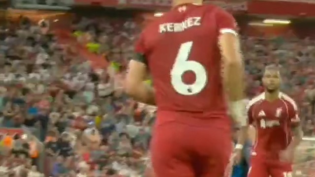 为了你，我转身变成狼王模样