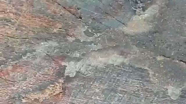 老手艺人维修钉耙