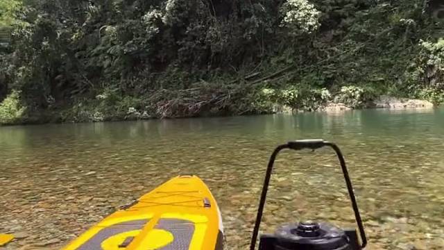 该合群合群，该独行独行