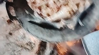 正宗柴火雞