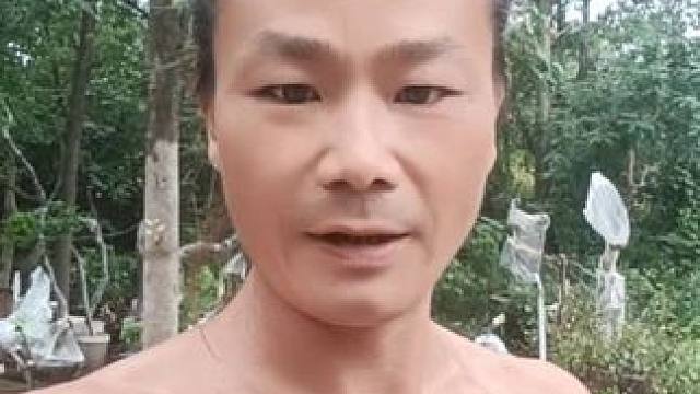 #老桩盆景 #盆景艺术 #别墅庭院植物 #树桩盆景