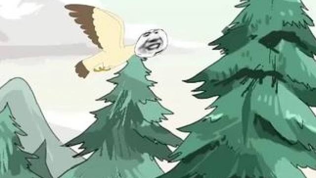 银针镇山河 #银针镇山河 