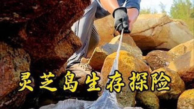 灵芝岛生存探险 第5集｜退潮赶海抓海鲜#UTO羊毛速干衣 #野外生存#户外探险 #UTO