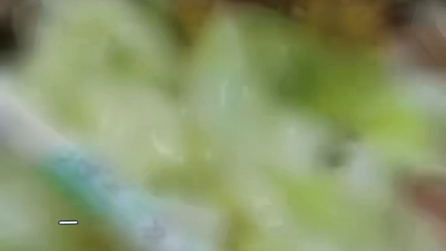 太香了，哈哈哈