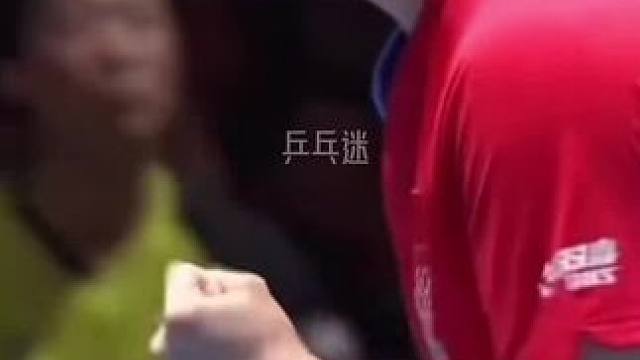 樊振东，暴力反手球！#乒乓球 #乒超联赛