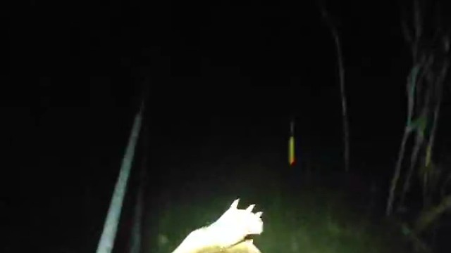 简简单单，又是一餐