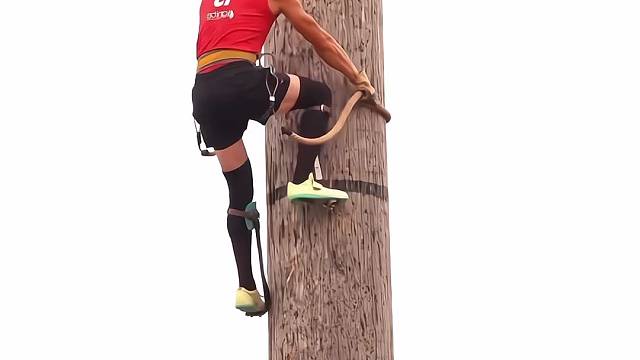 世界伐木工锦标赛，不是比谁爬的快，而是比谁掉的快#极限运动 #伐木工人世锦赛 #外国人真会玩