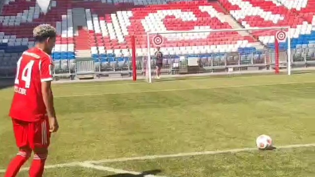 社会没有参天树