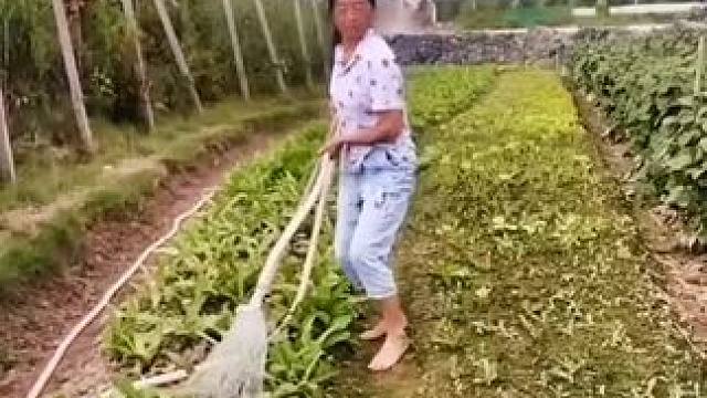 山卡卡里的农村大姐学费了开直播每天收获满满您还在恐播怕播不敢开播开播了不知说什么吗#记录真实生活 #