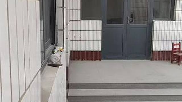 我发布了一个新视频，快来围观吧！