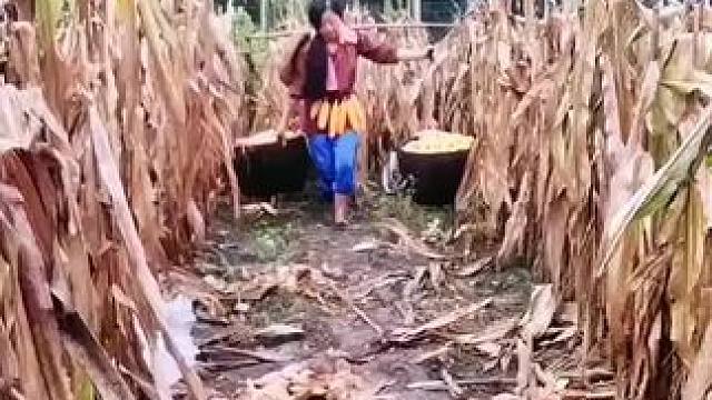 山卡卡里的农村大姐学费了开直播每天收获满满您还在恐播怕播不敢开播开播了不知说什么吗#记录真实生活 #