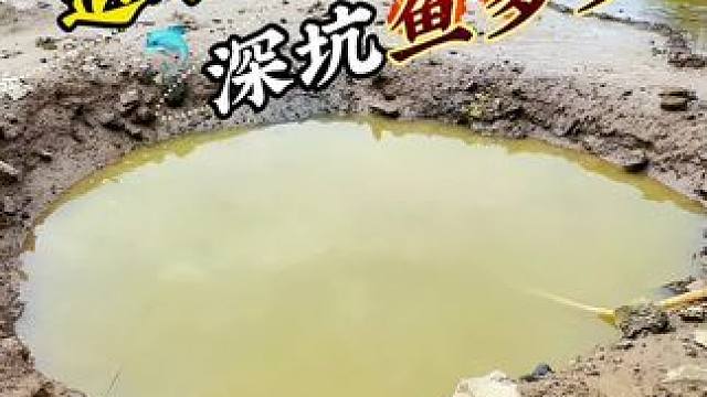 退水小坑惊喜多 #抽水#户外抽水#抓鱼#老坛甜薯 #聚鱼多