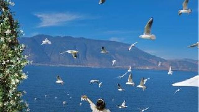 在大理，一家店 就能吃遍各种特色小吃！ #大理美食 #大理古城 #大理 #云南美食 #小吃