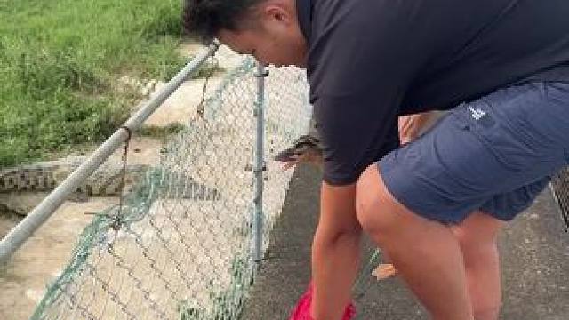 鸡哥就这样被无情的捧杀……