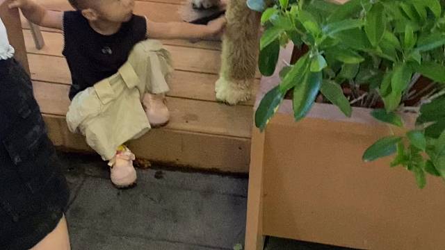 巨贵哆哆小朋友最爱