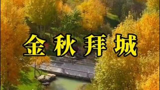 一转眼步入了秋天！#秋天 #最美景色