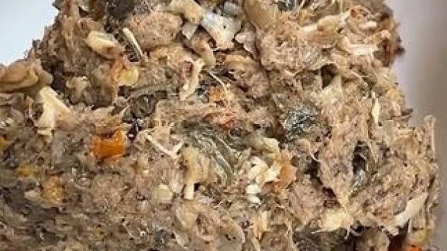 泰式拌蛙肉 #美食 #户外美食 #内容启发搜索