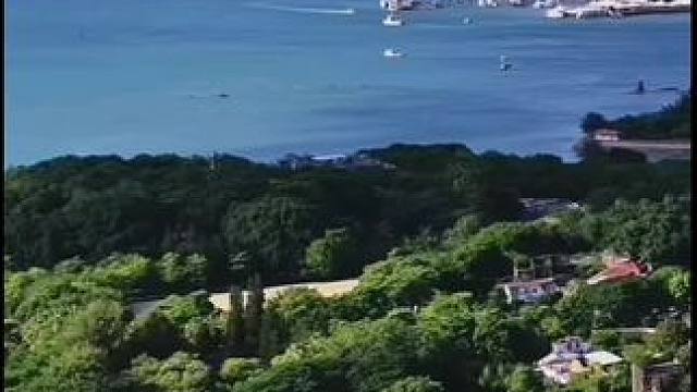 在鼓浪屿日光岩顶上拍摄厦门美丽风光！#厦门风景#手机摄影#原创作品 。