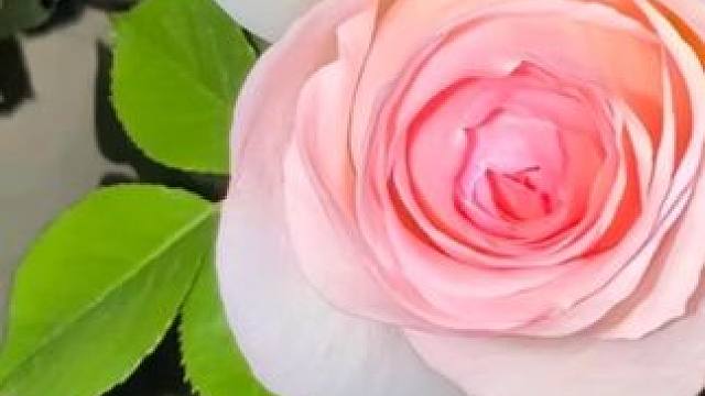 摄影的秘诀就是记录当下的感受 评论区我们互相交换你拍的一张照片，才是打开摄影的正确方式#摄影 #随拍