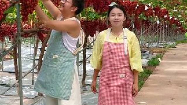 就喜欢这田园般的生活 #无籽葡萄