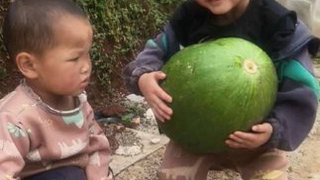 这个麦瓜长得好。#农村娃