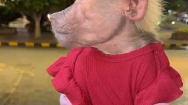 宠物狒狒吃大饼 #国外视频分享 #奇妙的动物 #宠物