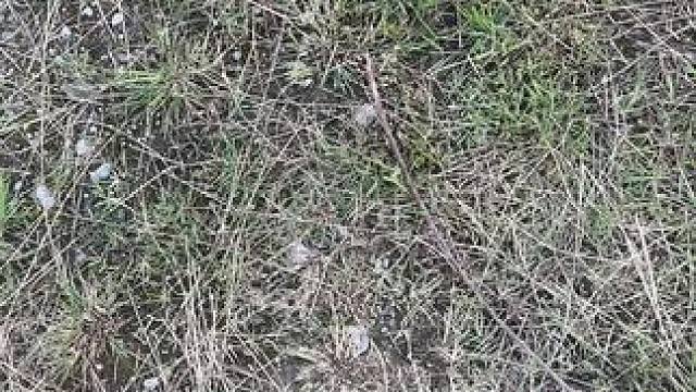 请假，今天没直播了，飞机坏了！