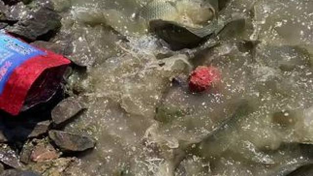 疯不疯狂#钓鱼 #钓鱼人就是这么疯狂 #钓鱼的乐趣只有钓鱼人懂 #钓鱼人 #测试