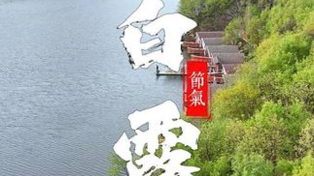 露从今夜白 月从故乡明 白露为霜 遥祝安康#遥祝安康 #二十四节气 #白露 #保持热爱奔赴山海