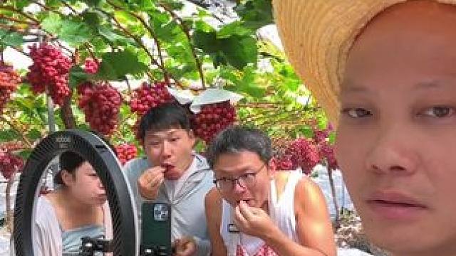 又不是我要吃的，是粉丝让吃的！#我的农村生活 #克伦生葡萄